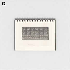アートメモ帳-Goat Cart
 - エドワード マイブリッジ Memo.
