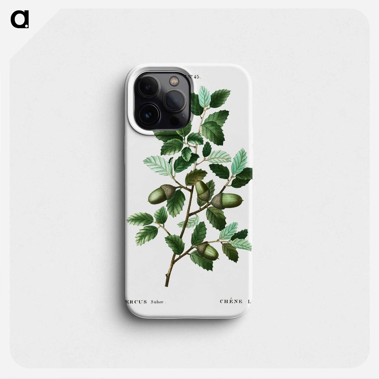 Cork oak (Quercus suber) - Pierre Joseph Redouté Phone Case.