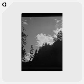 アートポストカード-Shasta County Trees and Clouds
 - ラッセル リー Postcard.