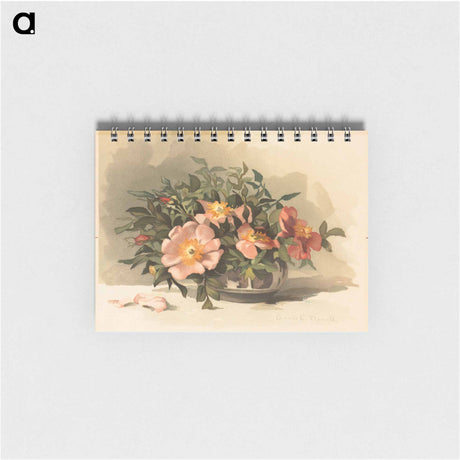 アートメモ帳-Wild Azaleas and Wild Roses No. 3
 - ボストン公共図書館 Memo.