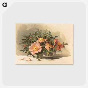 アートポストカード-Wild Azaleas and Wild Roses No. 3
 - ボストン公共図書館 Postcard.