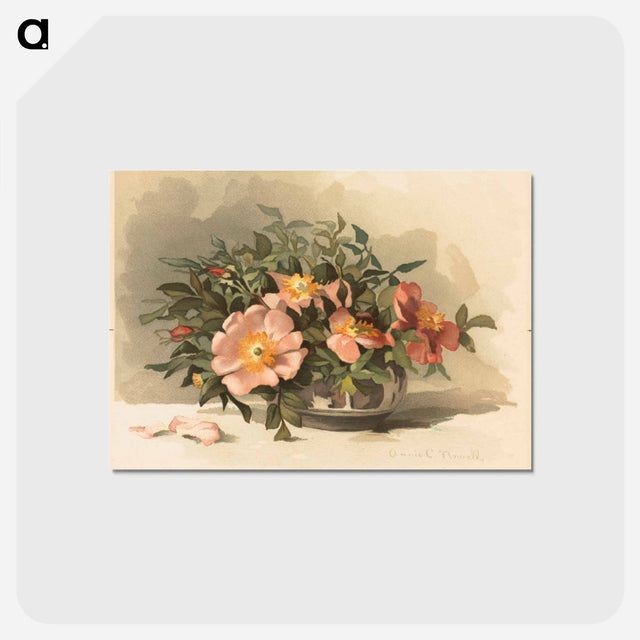 アートポストカード-Wild Azaleas and Wild Roses No. 3
 - ボストン公共図書館 Postcard.