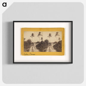 アートポスター-Colon Road Along the Beach
 - エドワード マイブリッジ Poster.