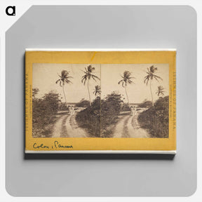 アートパネル-Colon Road Along the Beach
 - エドワード マイブリッジ Canvas.