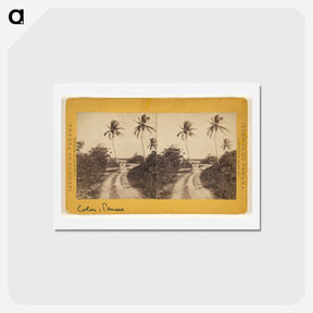 アートポストカード-Colon Road Along the Beach
 - エドワード マイブリッジ Postcard.