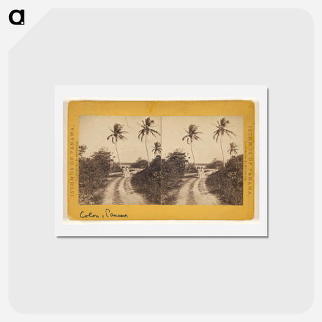 アートポストカード-Colon Road Along the Beach
 - エドワード マイブリッジ Postcard.