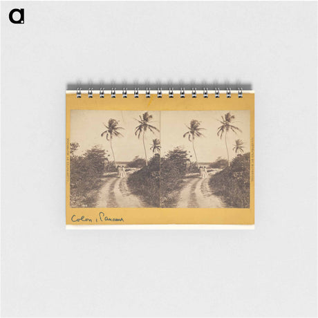 アートメモ帳-Colon Road Along the Beach
 - エドワード マイブリッジ Memo.