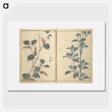 Tales of the Water Margin - Katsushika Hokusai Poster.