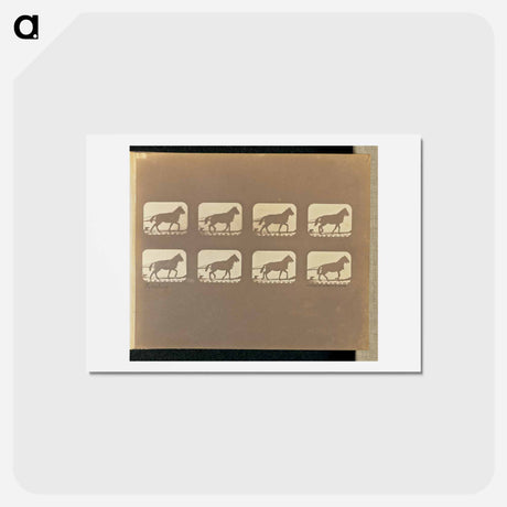 アートポストカード-Hauling
 - エドワード マイブリッジ Postcard.