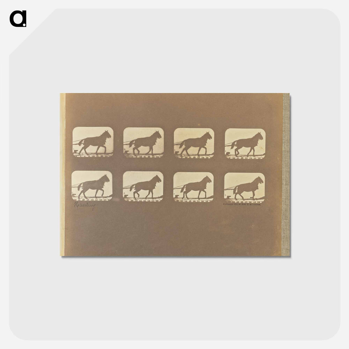 アートポストカード-Hauling
 - エドワード マイブリッジ Postcard.