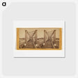 アートポストカード-American River Trestle
 - エドワード マイブリッジ Postcard.