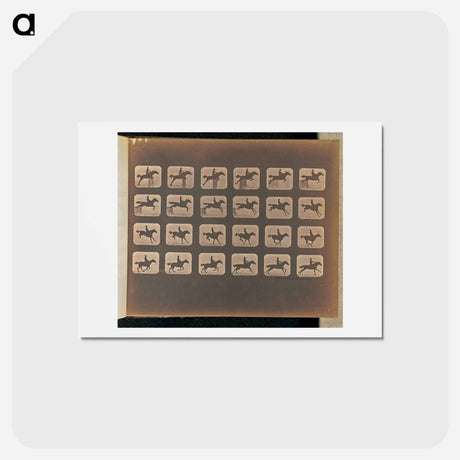 アートポストカード-Leaping
 - エドワード マイブリッジ Postcard.