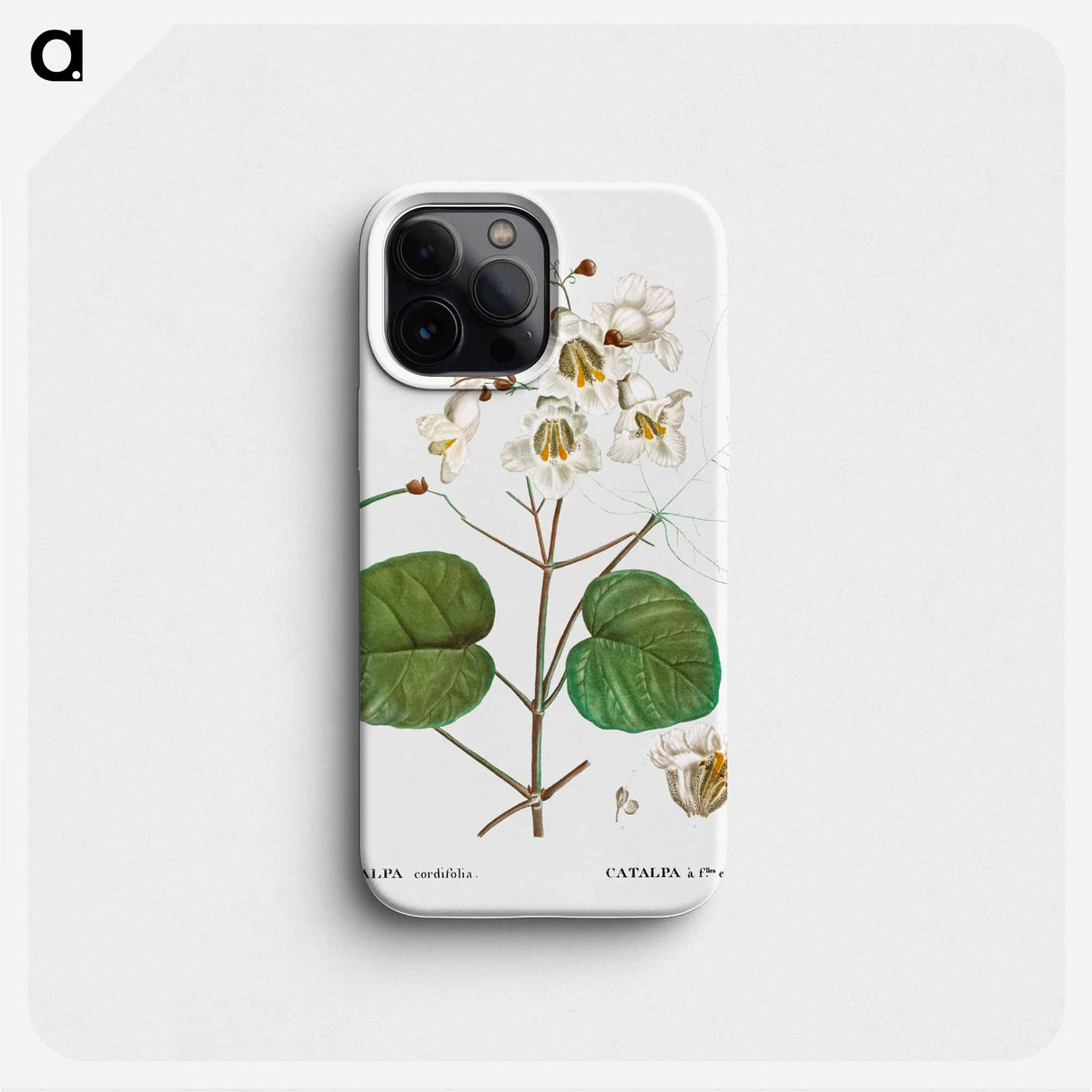 Catalpa cordifolia - Pierre Joseph Redouté Phone Case.