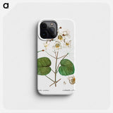 Catalpa cordifolia - ピエール ジョゼフ ルドゥーテ Phone Case.