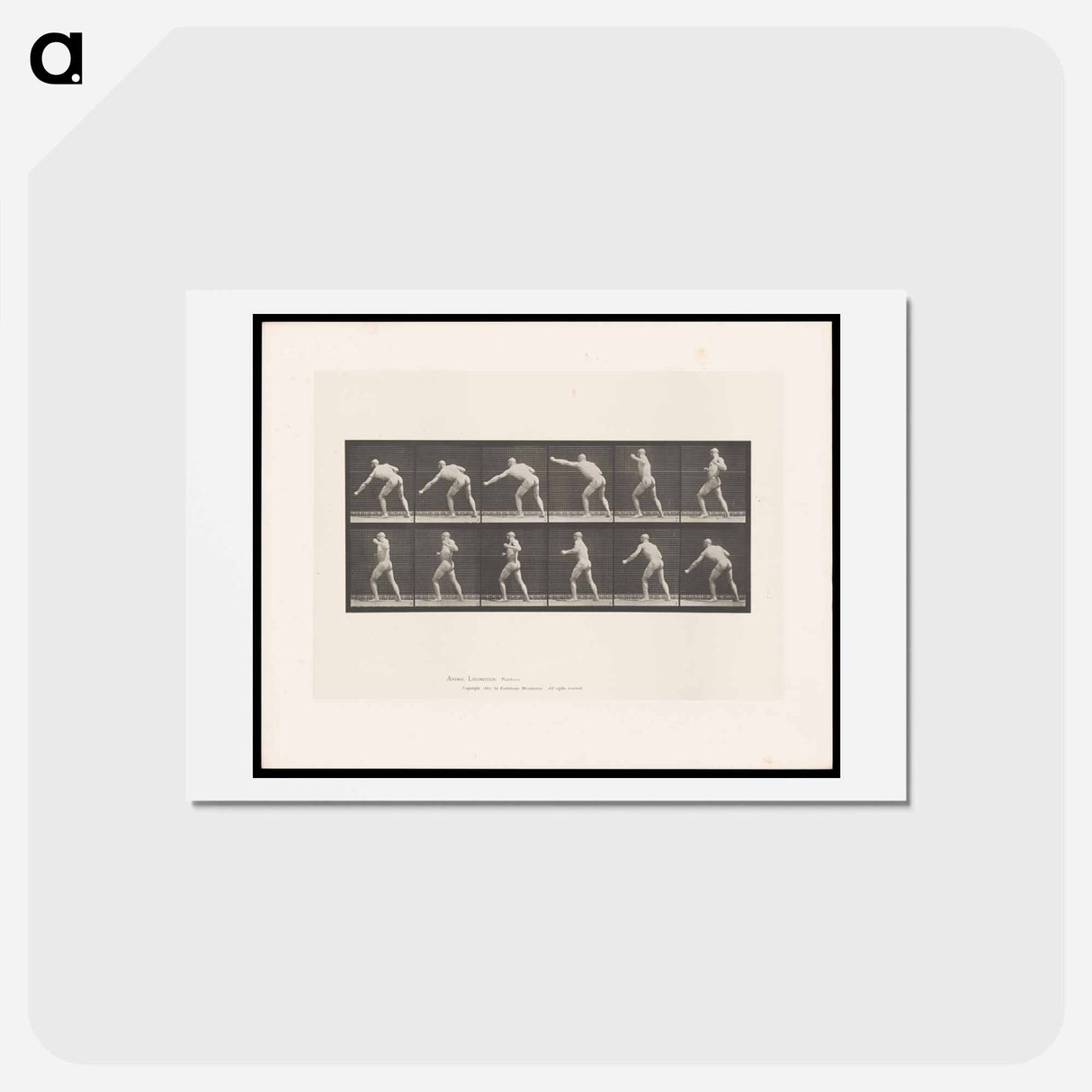 アートポストカード-Striking Man
 - エドワード マイブリッジ Postcard.