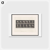 アートポストカード-Striking Man
 - エドワード マイブリッジ Postcard.