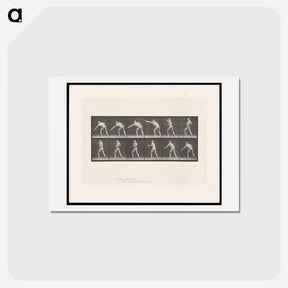 アートポストカード-Striking Man
 - エドワード マイブリッジ Postcard.