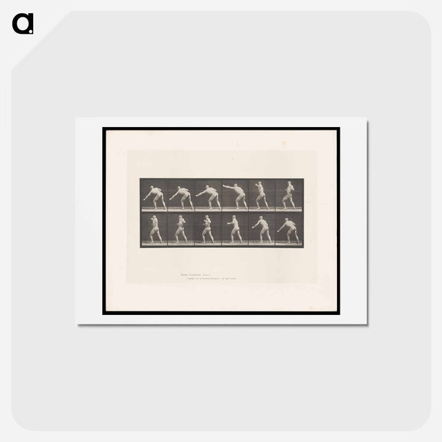 アートポストカード-Striking Man
 - エドワード マイブリッジ Postcard.