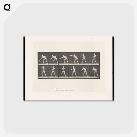 アートポストカード-Striking Man
 - エドワード マイブリッジ Postcard.