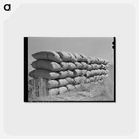 アートポストカード-Sacked Wheat
 - ラッセル リー Postcard.
