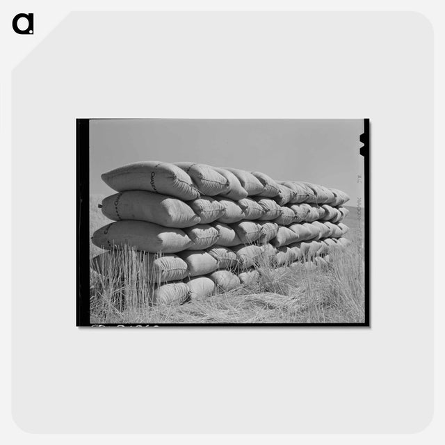 アートポストカード-Sacked Wheat
 - ラッセル リー Postcard.