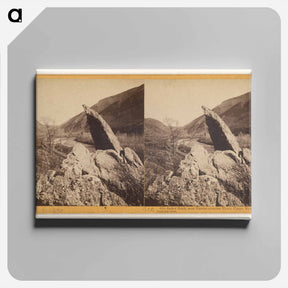 アートパネル-Index Rock, near Tunnel number Three
 - エドワード マイブリッジ Canvas.