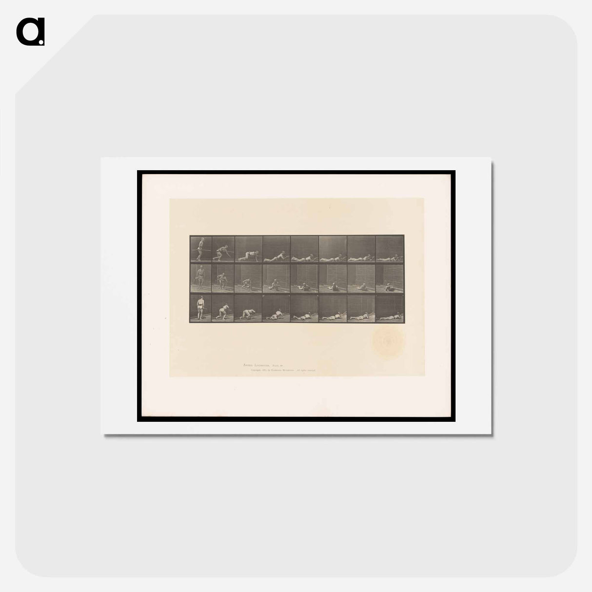 アートポストカード-Marksman
 - エドワード マイブリッジ Postcard.