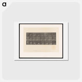 アートポストカード-Marksman
 - エドワード マイブリッジ Postcard.