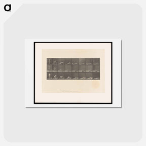 アートポストカード-Marksman
 - エドワード マイブリッジ Postcard.