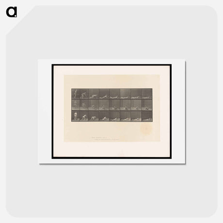 アートポストカード-Marksman
 - エドワード マイブリッジ Postcard.