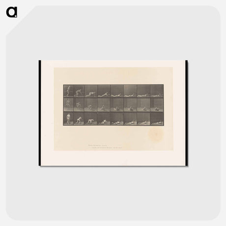 アートポストカード-Marksman
 - エドワード マイブリッジ Postcard.