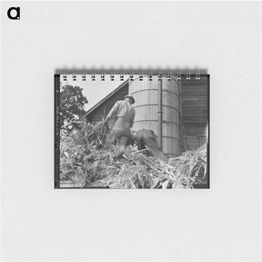 アートメモ帳-Cooperating farmers feeding corn from the wagon through the ensilage cutter - ドロテア ラング Memo.