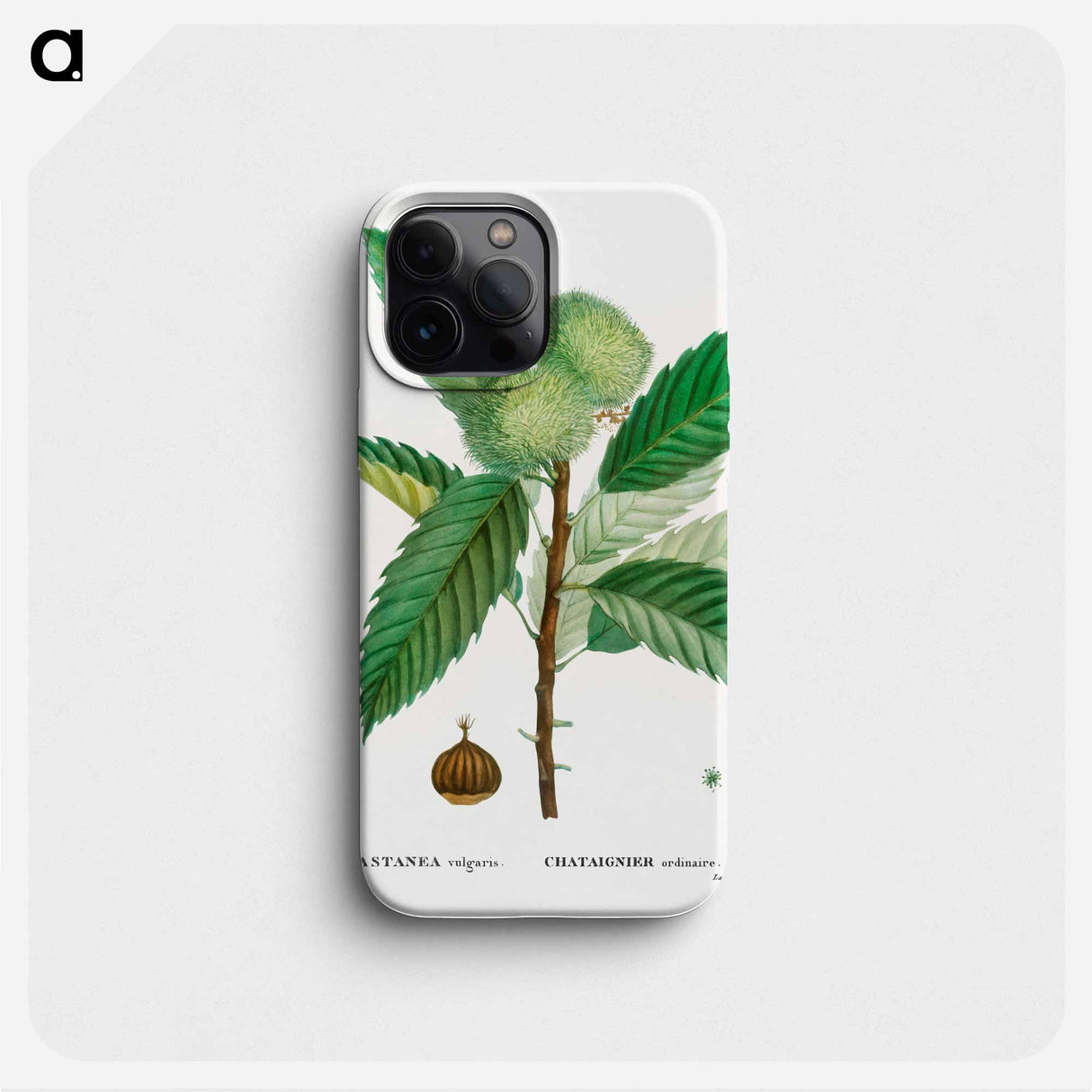 Sweet chestnut - Pierre Joseph Redouté Phone Case.