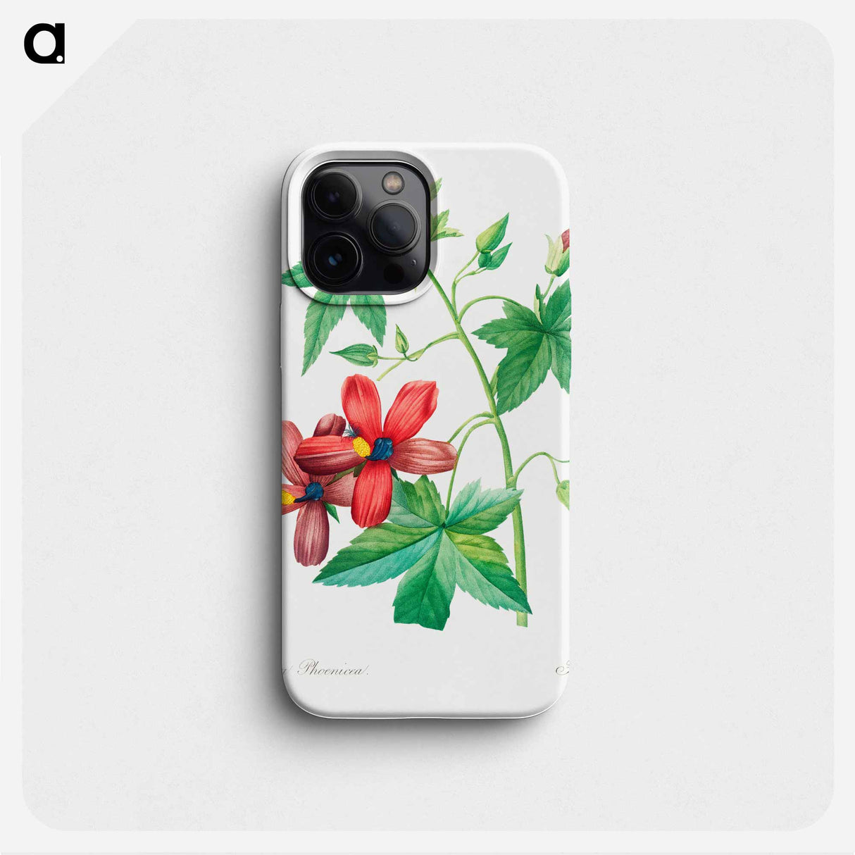 Lavatera phonica - Pierre Joseph Redouté Phone Case.