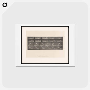 アートポストカード-Motion and Contact
 - エドワード マイブリッジ Postcard.
