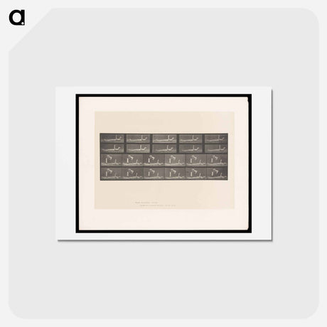 アートポストカード-Motion and Contact
 - エドワード マイブリッジ Postcard.