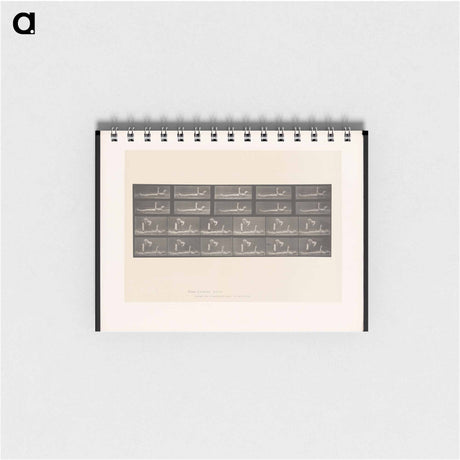 アートメモ帳-Motion and Contact
 - エドワード マイブリッジ Memo.