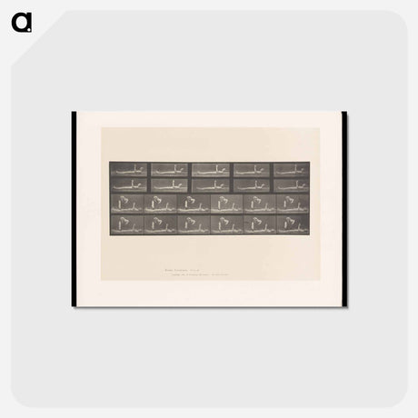 アートポストカード-Motion and Contact
 - エドワード マイブリッジ Postcard.