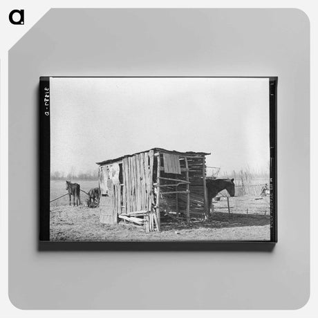 アートパネル-Cut-Over Farm Mailbox
 - ラッセル リー Canvas.