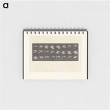 アートメモ帳-Cockatoo in Flight
 - エドワード マイブリッジ Memo.