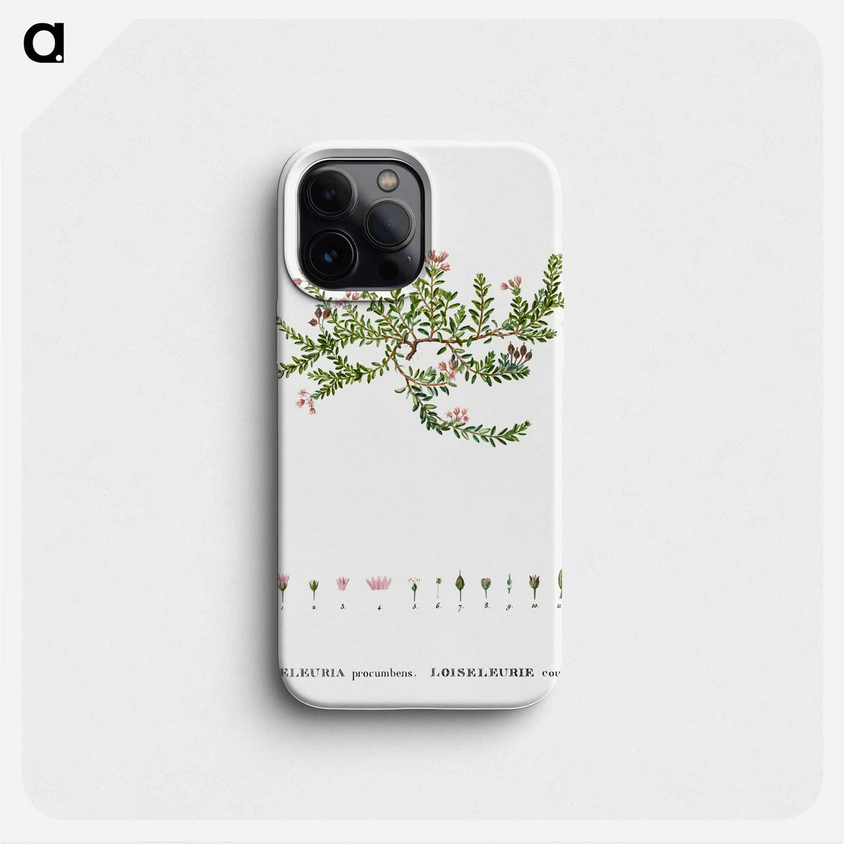 Alpine azalea, Loiseleuria procumbens - Pierre Joseph Redouté Phone Case.