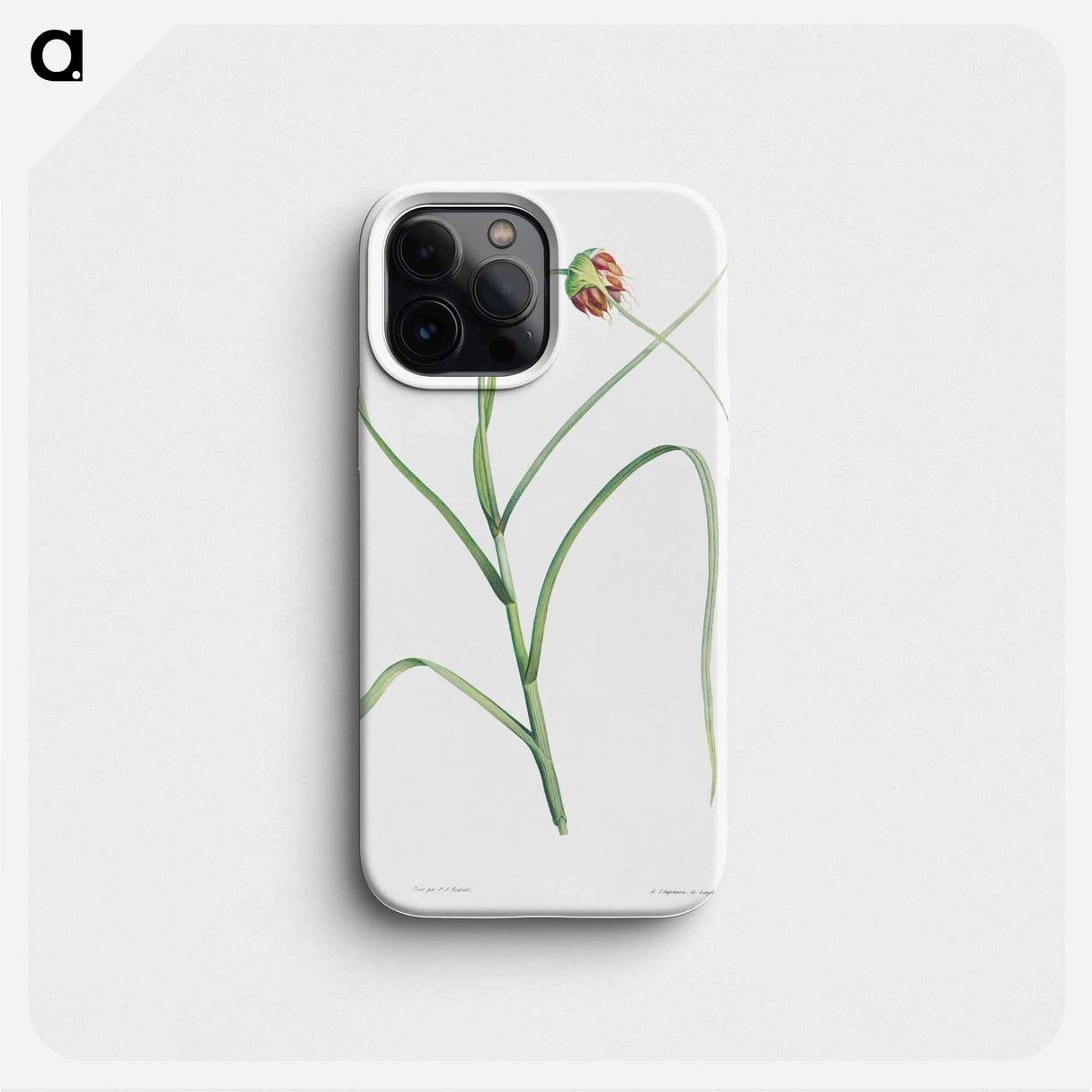 Cultivated garlic - Pierre Joseph Redouté Phone Case.