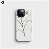 Cultivated garlic - Pierre Joseph Redouté Phone Case.