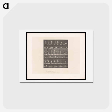 アートポストカード-Tripping Woman
 - エドワード マイブリッジ Postcard.