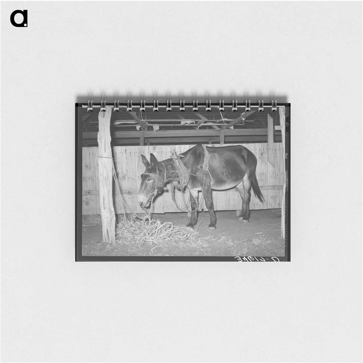 アートメモ帳-Wheat Harvest, Walla Walla County
 - ラッセル リー Memo.