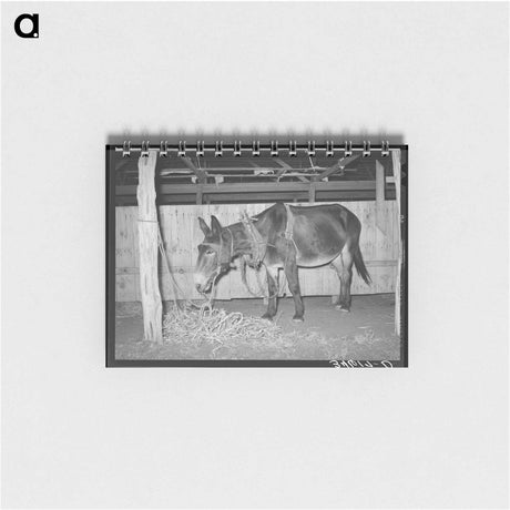 アートメモ帳-Wheat Harvest, Walla Walla County
 - ラッセル リー Memo.