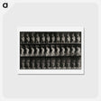 アートポストカード-Mother and Child
 - エドワード マイブリッジ Postcard.