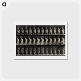 アートポストカード-Mother and Child
 - エドワード マイブリッジ Postcard.
