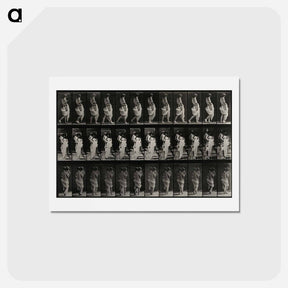 アートポストカード-Mother and Child
 - エドワード マイブリッジ Postcard.
