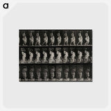 アートポストカード-Mother and Child
 - エドワード マイブリッジ Postcard.